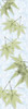 Green on Green Maple Poster Print by Albert Koetsier
