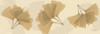 Leaves Tan on Beige 2 Poster Print by Albert Koetsier