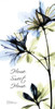 Azalea Poster Print by Albert Koetsier - Item # VARPDXAKPL080X