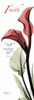 Calla Lily in Red - Faith Poster Print by Albert Koetsier - Item # VARPDXAKPL082B