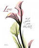 Calla Lily in Pink - Love Poster Print by Albert Koetsier - Item # VARPDXAKRC012A2