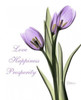 Purple Tulips Love Happiness Poster Print by Albert Koetsier - Item # VARPDXAKRC031A1