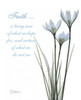 White Rain Lily - Faith Poster Print by Albert Koetsier - Item # VARPDXAKRC043B1