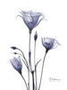 Gentian in Purple Poster Print by Albert Koetsier - Item # VARPDXAKRC119