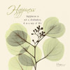 Happiness Eucalyptus L294 Poster Print by Albert Koetsier - Item # VARPDXAKXSQ140A