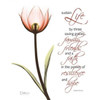 Swaying Tulip Pink - Life Poster Print by Albert Koetsier - Item # VARPDXAKXSQ159B