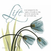Swaying Tulips  Blue - Life Poster Print by Albert Koetsier - Item # VARPDXAKXSQ160A