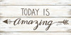 Today is Amazing Poster Print by Annie LaPoint - Item # VARPDXALP1597
