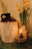 Daffodils by Candlelight Poster Print by Anthony Smith - Item # VARPDXANT111