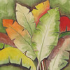 Banana Tree Leaves Poster Print by Anne Ormsby - Item # VARPDXAOSQ8010B