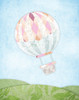 Hot Air Balloon Poster Print by Alicia Vidal - Item # VARPDXAVRC007A