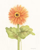Happy Flowers II Poster Print by Gwendolyn Babbitt - Item # VARPDXBAB499