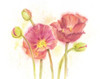 Happy Poppies Poster Print by Gwendolyn Babbitt - Item # VARPDXBAB500