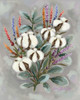 Cotton Bouquet    Poster Print by Sara Baker - Item # VARPDXBAKE114