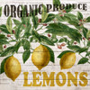 Fresh Picked Lemons Poster Print by Ann Bailey - Item # VARPDXBASQ001B