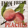Fresh Picked Peaches Poster Print by Ann Bailey - Item # VARPDXBASQ001C