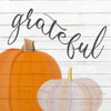 Grateful Pumpkins Poster Print by Ann Bailey - Item # VARPDXBASQ019B