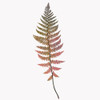 Coral Fern Gold 2 Poster Print by Ann Bailey - Item # VARPDXBASQ032B