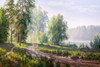 After the rain Poster Print by Sergej Basov - Item # VARPDXBC14