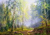 Morning at the birch forest Poster Print by Sergej Basov - Item # VARPDXBC21