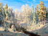 Hoarfrost Poster Print by Sergej Basov - Item # VARPDXBC31