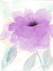 Lilac Peony I Poster Print by Beverly Dyer - Item # VARPDXBD5RC006A3