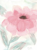 Blush Peony II Poster Print by Beverly Dyer - Item # VARPDXBD5RC006B2