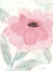 Blush Peony II Poster Print by Beverly Dyer - Item # VARPDXBD5RC006B2