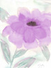 Lilac Peony II Poster Print by Beverly Dyer - Item # VARPDXBD5RC006B3