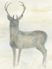 Solo Deer 2 Poster Print by Beverly Dyer - Item # VARPDXBDRC121C