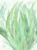 Into Green 1 Poster Print by Beverly Dyer - Item # VARPDXBDRC125A