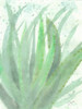 Into Green 2 Poster Print by Beverly Dyer - Item # VARPDXBDRC125B