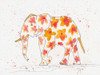 Elephant Flower Poster Print by Beverly Dyer - Item # VARPDXBDRC131A