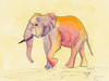 Rainbow Elephant Poster Print by Beverly Dyer