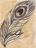 Peacock Feather Poster Print by Beverly Dyer