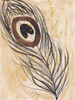 Peacock Feather 2 Poster Print by Beverly Dyer