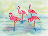 Sunset Flamingoes II Poster Print by Beverly Dyer