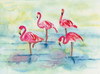 Sunset Flamingoes II Poster Print by Beverly Dyer