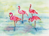 Sunset Flamingoes II Poster Print by Beverly Dyer - Item # VARPDXBDRC143B