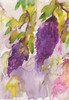 Wisteria I Poster Print by Beverly Dyer - Item # VARPDXBDRC147A