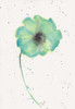 Blue Green Poppy 1 Poster Print by Beverly Dyer - Item # VARPDXBDRC150A