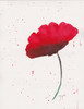 Red Poppy 2 Poster Print by Beverly Dyer - Item # VARPDXBDRC152B