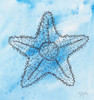 Coastal Starfish Poster Print by Beverly Dyer - Item # VARPDXBDSQ065A