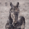 ABSTRACT HORSE WITH TYPOGRAPHY Poster Print by Atelier B Art Studio Atelier B Art Studio - Item # VARPDXBEGANI144