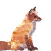 RED FOX Poster Print by Atelier B Art Studio Atelier B Art Studio - Item # VARPDXBEGANI483