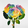 BOUQUET OF RAINBOW ROSES Poster Print by Atelier B Art Studio Atelier B Art Studio - Item # VARPDXBEGFLO349