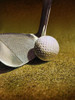 GOLF CLOSEUP Poster Print by Atelier B Art Studio Atelier B Art Studio - Item # VARPDXBEGSPO1