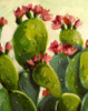 Cactus Poster Print by Boho Hue Studio Boho Hue Studio - Item # VARPDXBHSRC107