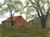 The Old Brown Barn Poster Print by Billy Jacobs - Item # VARPDXBJ1158