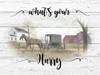 Whats Your Hurry Poster Print by Billy Jacobs - Item # VARPDXBJ1219